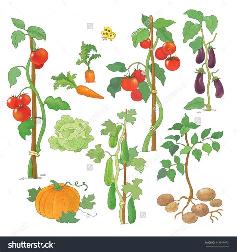 Farm garden plant clipart - Clipground