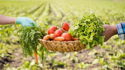 What are the Health Benefits of Organic Farming? – NutritionFact.in