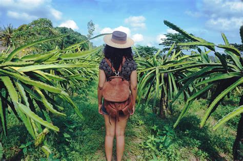 Arriving in Ubud, Bali: My Favorite Balinese Town - Ashley Renne