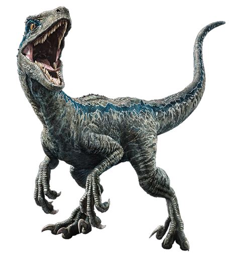 Fallen Kingdom: Blue the Velociraptor V3 by sonichedgehog2 Jurassic World Raptors, Blue Jurassic ...