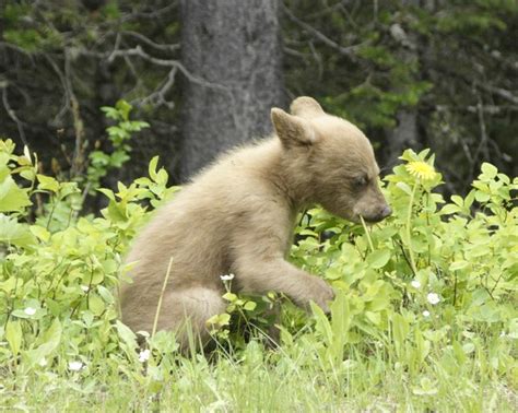 Photos - The Weather Network