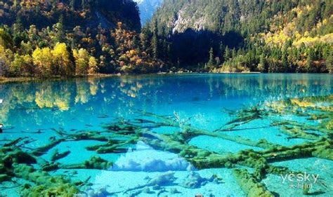 Jiuzhaigou Valley Scenic and Historic Interest Area