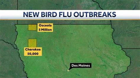 5 million more: Bird flu spreads in two new Iowa counties