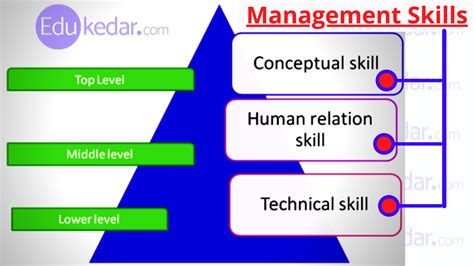 Managerial Skills: Types, Definition, Levels & Examples in Management