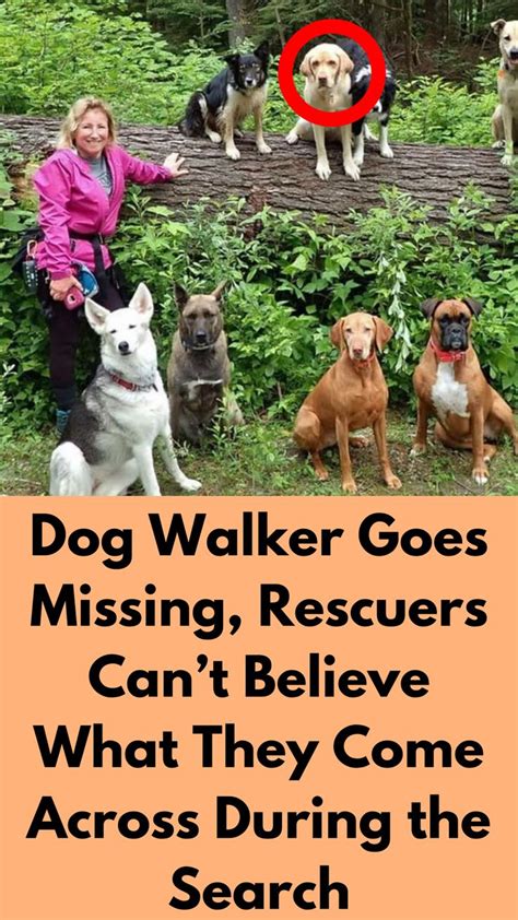 a woman standing next to four dogs on top of a lush green forest filled ...