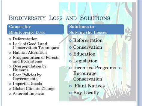 PPT - Biodiversity PowerPoint Presentation, free download - ID:3004635