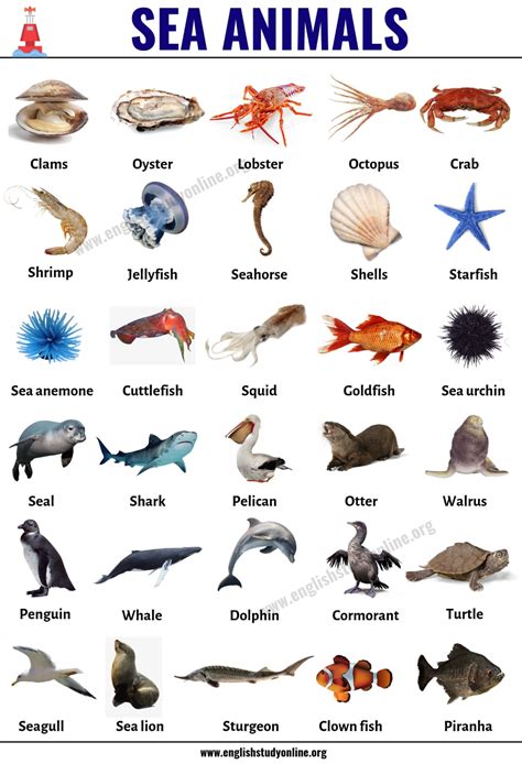 Water Animals Name Hindi And English