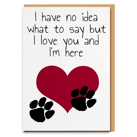 Pet loss sympathy card – Cheeky Zebra