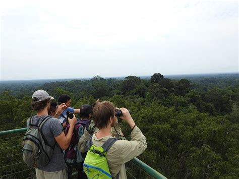 Ecuador Amazon Rainforest – Ecuador Eco Adventures