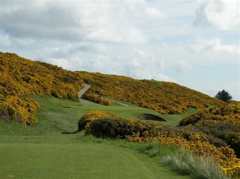 Royal Dornoch - Championship Course - Pioneer Golf