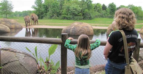 coupons and thin mints: Trip to the Asheboro Zoo!