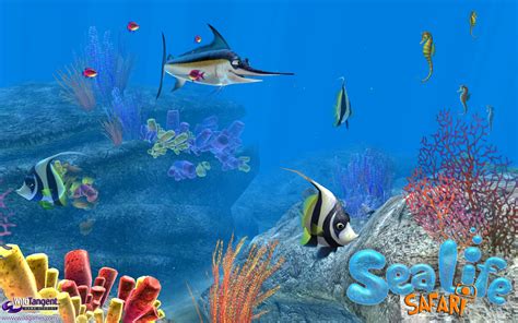 Sea Life Safari Game Download Pc - fasrmeta