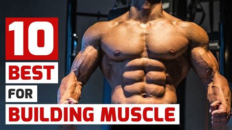 Top Trainers Agree, These Are the 10 Best Muscle-Building Exercises – WeightBlink