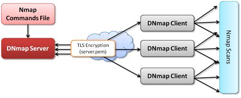 RaiderSec: Distributed Port Scanning: Creating an Nmap Cluster Using DNmap