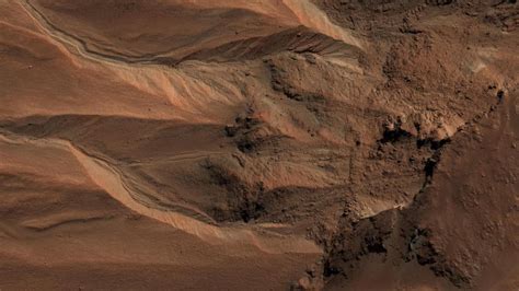 Photos Show Evidence of Life on Mars, Claims Scientist | Technology News