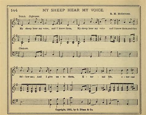 My Sheep Hear My Voice | Hymnary.org