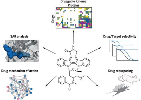 The target landscape of clinical kinase drugs | Science