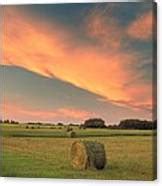 Round Hay Bales Photograph by Darwin Wiggett - Fine Art America