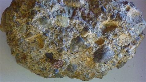 Sibley's Geological Treasures: conglomerate from Orinda Formation