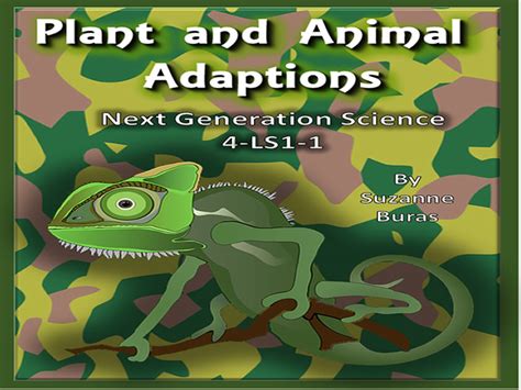 Plant and Animal Adaptations | Teaching Resources