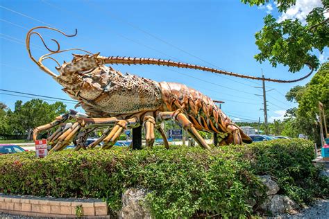 World's Largest Spiny Lobster Sculpture: world record in Islamorada, Florida