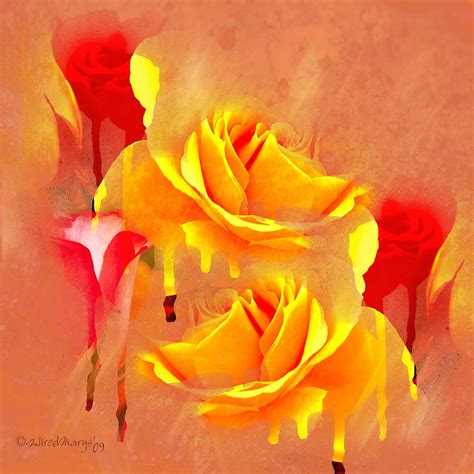 "Painted Roses Abstract" by WiredMarys | Redbubble