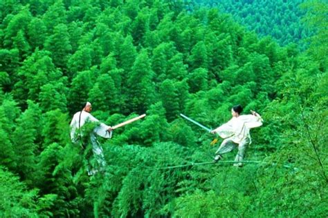 Top 6 Bamboo Forests in China, Best Bamboo Seas in China 2024