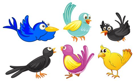 Birds with different colors 417570 Vector Art at Vecteezy