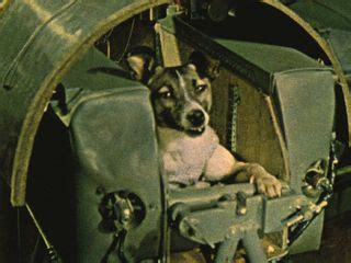 Laika the space dog: First living creature in orbit | Space