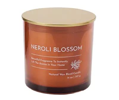 Neroli Blossom 2-Wick Candle, 14 Oz. | Big Lots