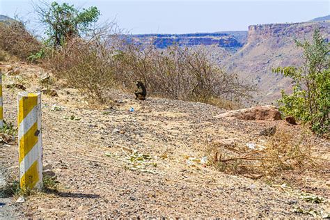 Blue Nile Gorge Stock Photos, Pictures & Royalty-Free Images - iStock