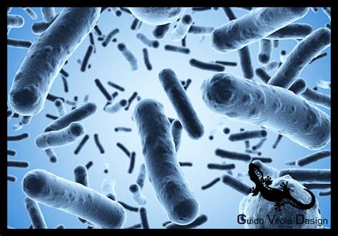 Bacteria under a scanning microscope 3D Model OBJ FBX BLEND DAE | CGTrader.com