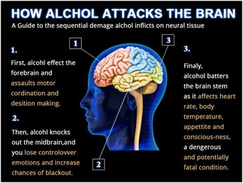 Alcohol Effects, Intoxication And Alcoholism - Health And Medical Information