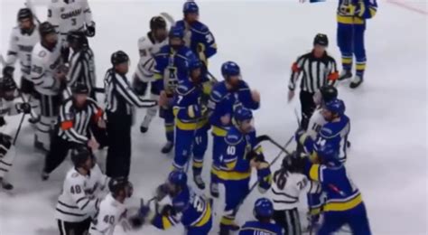 Wild Bench-Clearing Brawl Erupts During Handshake Line Following ...