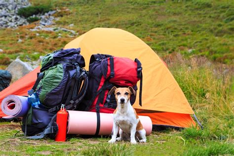 A beginner's guide to backcountry camping - Lonely Planet