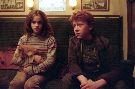 Crookshanks And Hermione