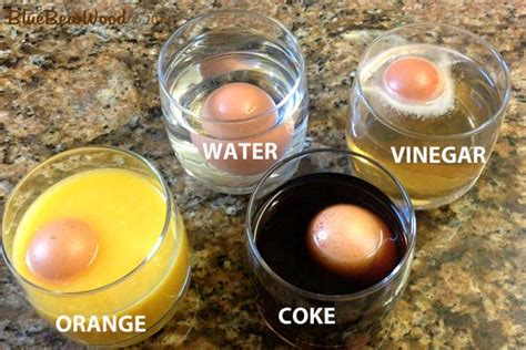 Egg In A Bottle Graph