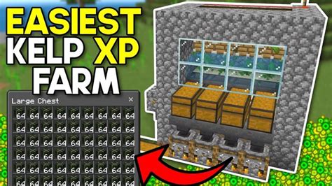 Easiest Kelp XP Farm Minecraft Bedrock 1.20 in 2024 | Minecraft plans, Minecraft, Kelp