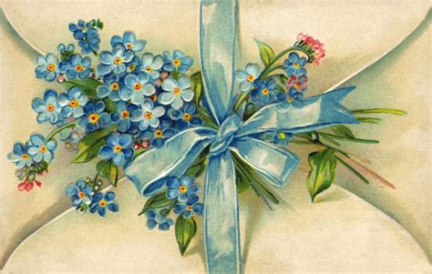 vintage botanical graphics: VINTAGE FORGET ME NOT POSTCARD