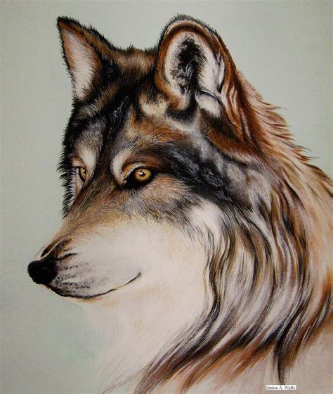 Wolf Stare acrylic painting. | Wolf painting, Animal paintings, Acrylic painting