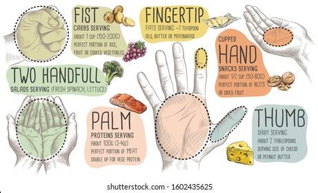 565件の「Portion size hand」の画像、写真素材、ベクター画像 | Shutterstock