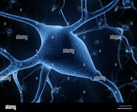 3d rendered illustration - nerve cell Stock Photo - Alamy