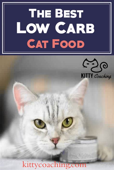 Low Carb Cat Food Reviewed - Our Top 5 Picks (2018)