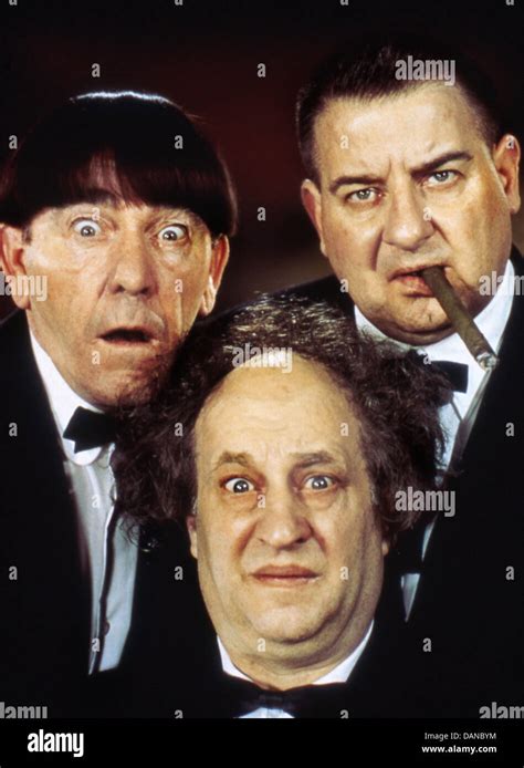 THREE STOOGES (ACTORS) PORTRAITS MOE HOWARD, LARRY FINE, CURLY HOWARD, TSTO 005 MOVIESTORE ...