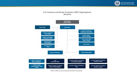 CBP Organization Chart | U.S. Customs and Border Protection