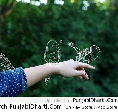 sparrows | PunjabiDharti.Com