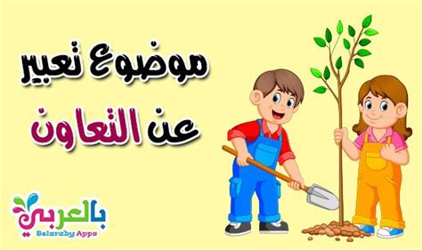 مطوية عن التعاون