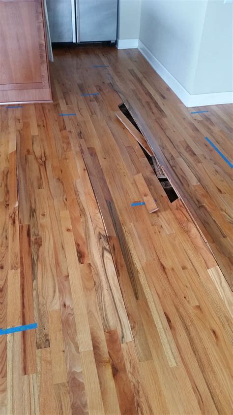 Repairing water damaged hardwood floors | Mr. Floor Chicago