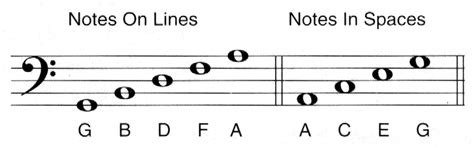 Israbi: Bass Clef Music Notes Chart