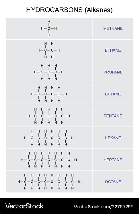 Hydrocarbons alkanes formulas Royalty Free Vector Image